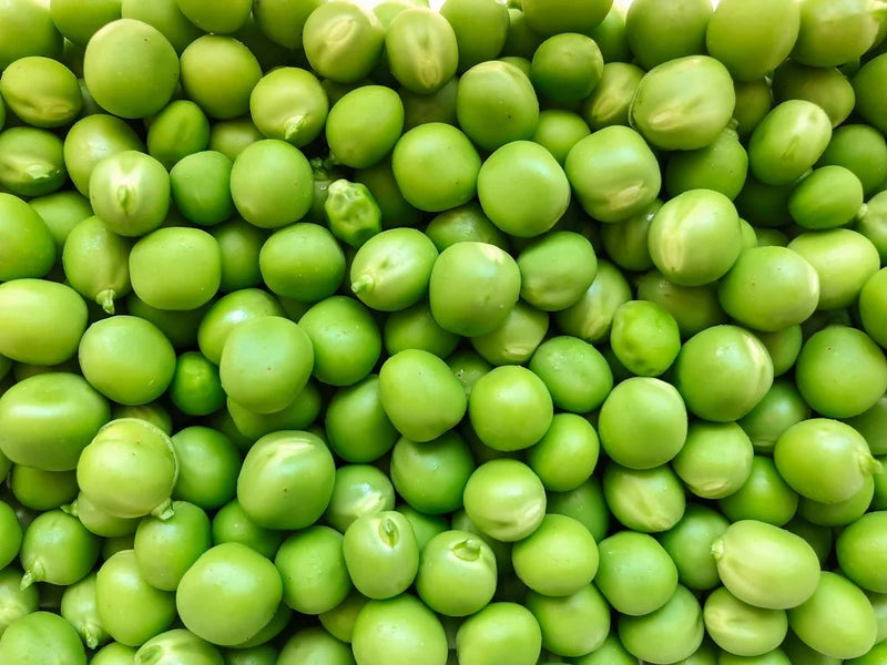 Pea Protein