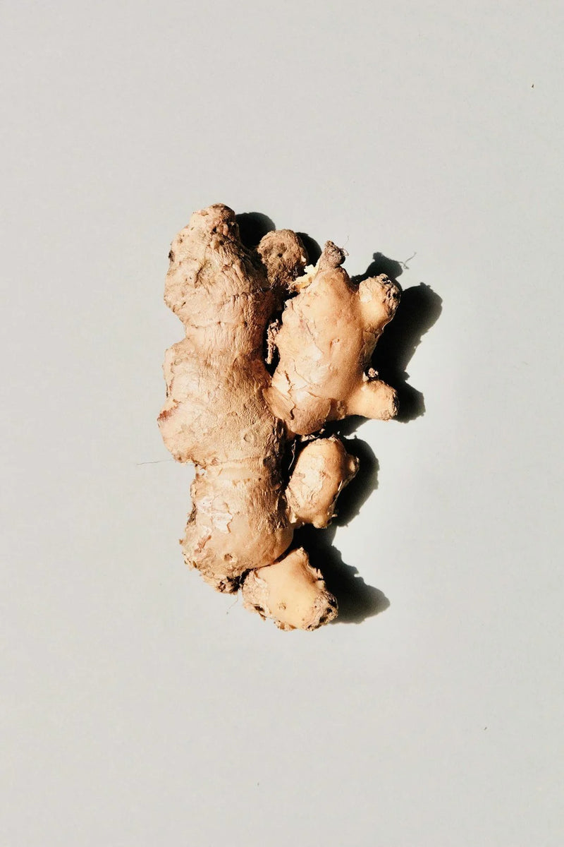 Ginger